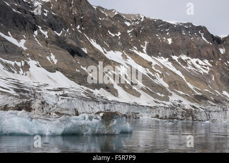 Norvegia Isole Svalbard, Spitsbergen, Hornsund, Burgerbukta. Scenic ghiacciaio. Foto Stock