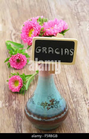 Gracias (che significa grazie in spagnolo) scritto su mini lavagna e margherite rosa in vaso di porcellana Foto Stock