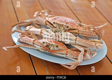 Al vapore caldo granchi seafood sulla scrivania in legno Foto Stock