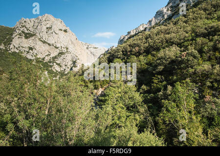 A sud di Quillan nel Aude,Galamus,Gorge,Gorges de,calcare,scogliere, Foto Stock