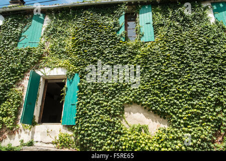 A Pechlatt,Pech-Latt vigneti,close up di vino la produzione di uve,nella produzione vinicola regione area di Lagrasse,Aude.Il sud della Francia. Foto Stock