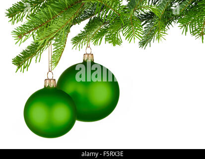 Studio luminoso colpo di due isolati di Natale verde baubles sospesi dal fresco verde abete rami Foto Stock