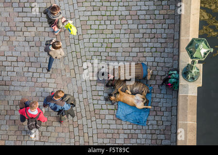 Beggar con cani sul Ponte Carlo a Praga, Boemia, Repubblica ceca, Unione Europea, Europa Foto Stock