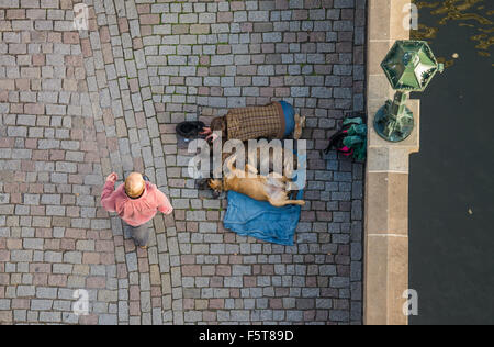 Beggar con cani sul Ponte Carlo a Praga, Boemia, Repubblica ceca, Unione Europea, Europa Foto Stock
