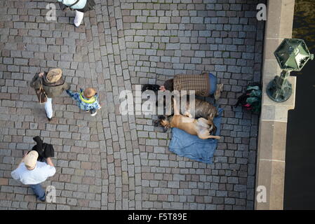 Beggar con cani sul Ponte Carlo a Praga, Boemia, Repubblica ceca, Unione Europea, Europa Foto Stock