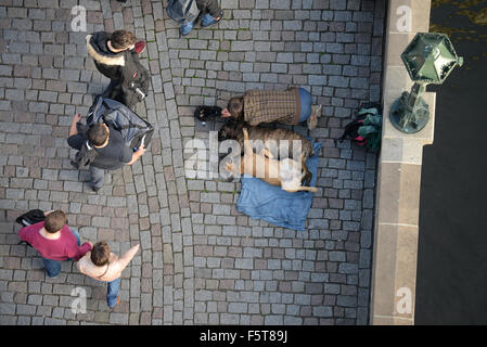 Beggar con cani sul Ponte Carlo a Praga, Boemia, Repubblica ceca, Unione Europea, Europa Foto Stock