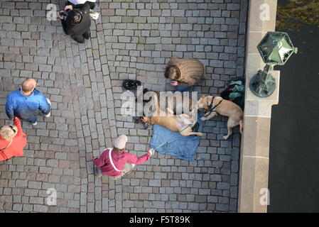 Beggar con cani sul Ponte Carlo a Praga, Boemia, Repubblica ceca, Unione Europea, Europa Foto Stock