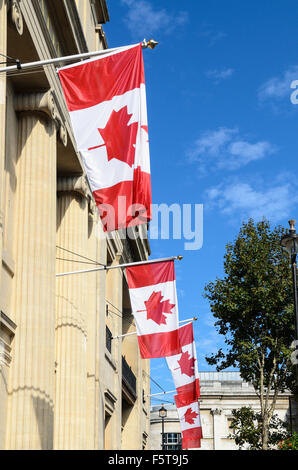 La bandiera canadese le mani al di fuori dell'Ambasciata Canadese, Trafalgar Square, London, England, Regno Unito Foto Stock