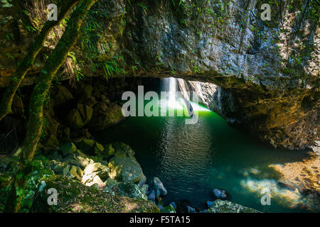 Il ponte naturale a cascata Springbrook National Park in Queensland Australia Foto Stock