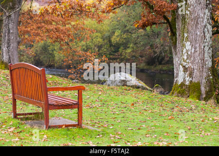 Panchina vicino al fiume Elan con colori autunnali al villaggio Elan nella Valle Elan, Powys, Galles centrale, Regno Unito nel mese di novembre Foto Stock