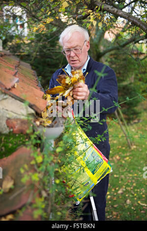Anziano gentiluomo la pulizia di una grondaia di pioggia di foglie in North Yorkshire Foto Stock
