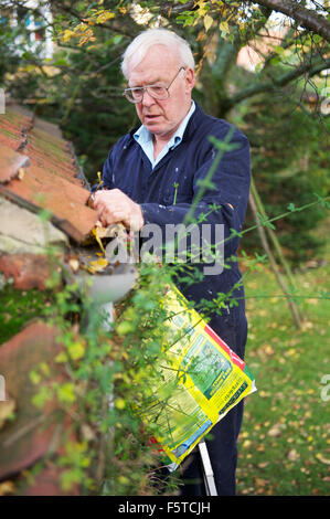 Anziano gentiluomo la pulizia di una grondaia di pioggia di foglie in North Yorkshire Foto Stock