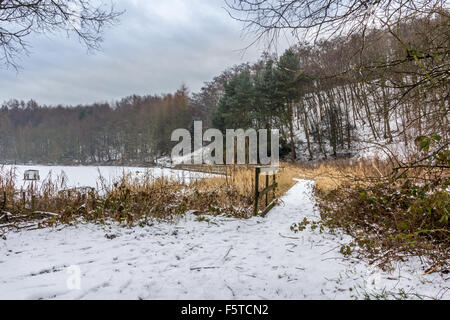 Coperta di neve suolo lungo un fiume congelato con un piccolo di legno ricoperta di neve ponte sul torrente, Foto Stock