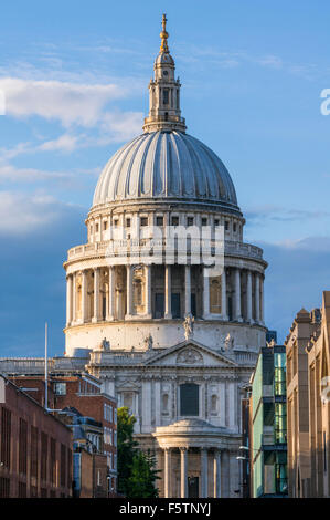 St Pauls Cathedral dome in serata città di Londra Inghilterra REGNO UNITO GB EU Europe Foto Stock