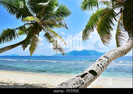 Spiaggia di Anse Fourmis con palme, isola di La Digue, Seicelle Foto Stock