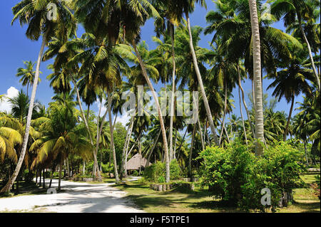 Union Station Wagon, isola di La Digue, Seicelle Foto Stock