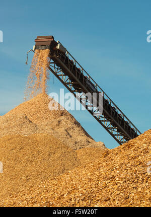 La massa di legno in trucioli per particella board fabbricazione, Port Angeles, Washington Foto Stock