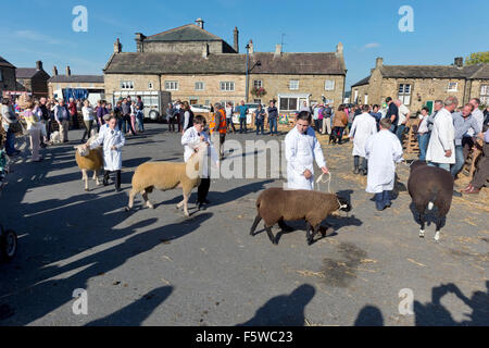 Giudicare l'annuale Masham pecore Fair, North Yorkshire, Regno Unito, Settembre 2015 Foto Stock