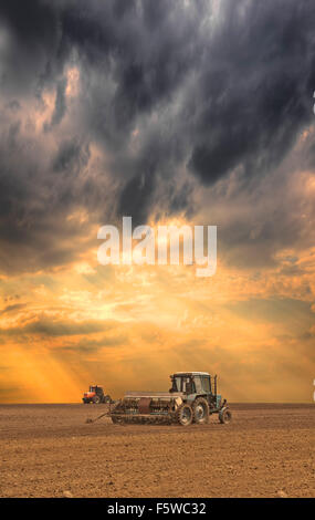 La semina del trattore sul campo su stormy sunset Foto Stock