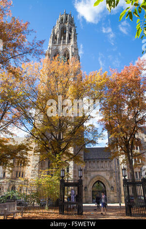 NEW Haven, Connecticut - 8 Novembre 2015: vista del centro storico di Harkness Tower presso la Yale University in una giornata autunnale. Foto Stock