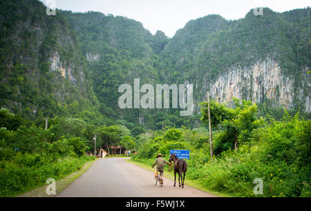 Mural de la Prehistoria, Vinales, Pinar del Rio, Cuba Foto Stock