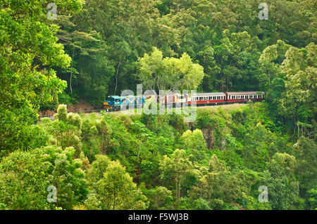 Kuranda Scenic Railway sulla sua strada attraverso la foresta pluviale fino a Cairns. Foto Stock