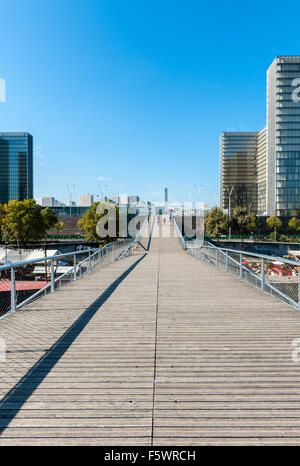 Francia, Parigi, Passerelle Simone de Beauvoir e Bibliotheque Nationale de France Foto Stock