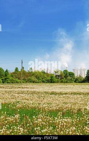 Prato primavera con il tarassaco e la linea elettrica. Sullo sfondo un dolomite impianto di frantumazione. Foto Stock