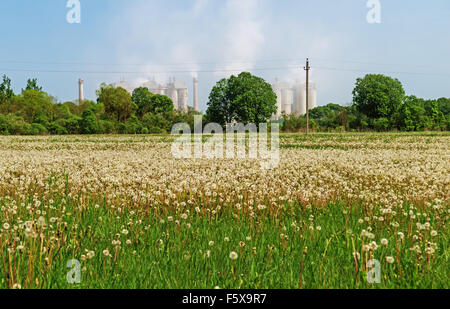 Prato primavera con il tarassaco e la linea elettrica. Sullo sfondo un dolomite impianto di frantumazione. Foto Stock