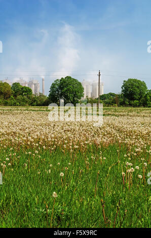 Prato primavera con il tarassaco e la linea elettrica. Sullo sfondo un dolomite impianto di frantumazione. Foto Stock