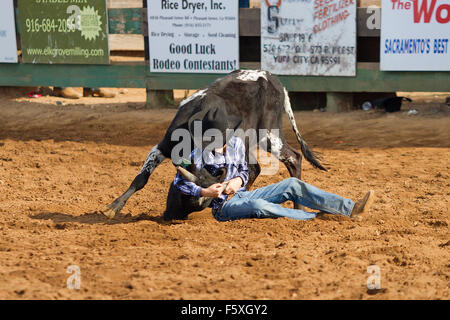 I giovani a competere in gioventù NSRA rodeo a Lincoln, California Foto Stock