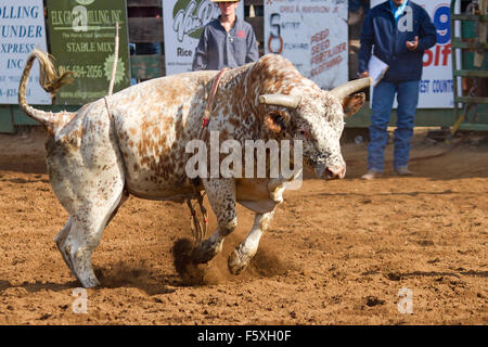 I giovani a competere in gioventù NSRA rodeo a Lincoln, California Foto Stock