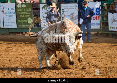I giovani a competere in gioventù NSRA rodeo a Lincoln, California Foto Stock