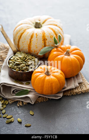 Le zucche con i semi di zucca e foglie di salvia Foto Stock