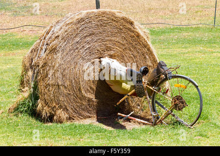 Humour australiano Australia Occidentale Bike, Paglia Fieno Fun Foto Stock