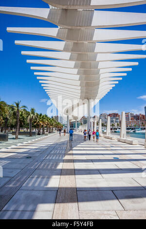 El Muelle Dos al porto di Malaga ricurva con ombrelloni presso il lungomare del Palmeral de las Sorpresas Foto Stock