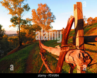 Rustico rurale scherma sul campo collinare vicino a Alora, Andalusia Foto Stock