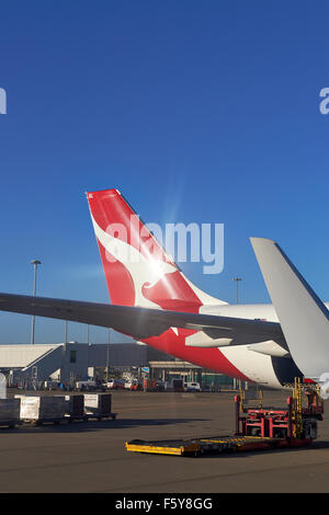Coda di una Qantas Boeing 737-800 presso l'aeroporto di Brisbane. Foto Stock