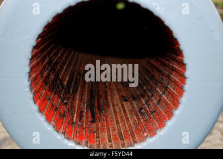 Canna di cannone al Castello di Tynemouth e Priory, nei pressi di Newcastle. Foto Stock