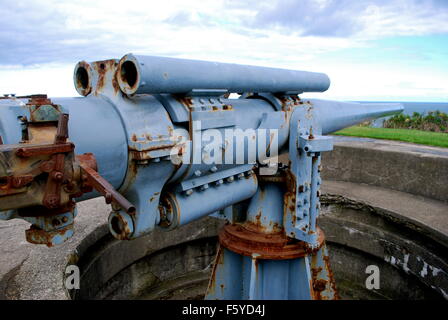 Cannone di segnalare al mare al Castello di Tynemouth e Priory, nei pressi di Newcastle. Foto Stock
