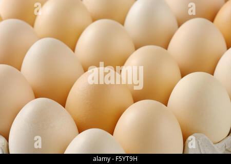 Dettaglio di uova fresche in righe Foto Stock