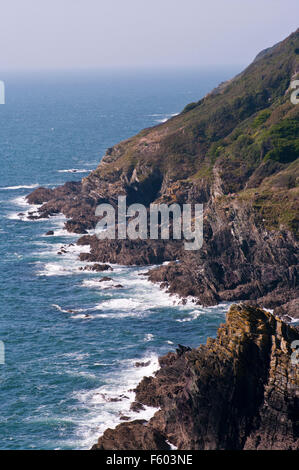 Il robusto la Cornovaglia del Sud Costa vicino a Polperro Cornwall Inghilterra REGNO UNITO Foto Stock