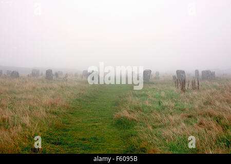 Merry Maidens neolitico un cerchio di pietra vicino a St Buryan nel lontano ovest Cornovaglia nella nebbia Foto Stock