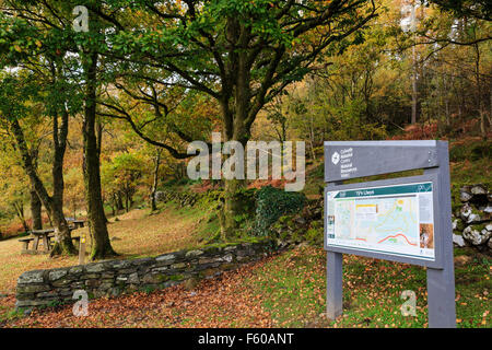 Ty'n Llwyn information board segno nel parcheggio di Gwydyr Forest Park nel Parco Nazionale di Snowdonia Betws-y-Coed Conwy North Wales UK Foto Stock