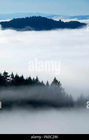 Willamette Valley nebbia da Mt Pisga vertice, Howard Buford County Park Lane County, Oregon Foto Stock