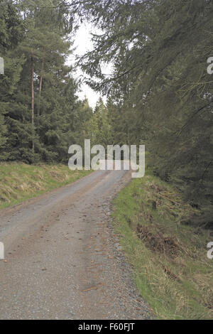 Forest haul road, kielder forest, Tyne Nord Valle, Northumberland, Inghilterra, Regno Unito. Foto Stock