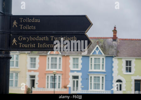 Aberaeron,dito post,direzioni,firmato,mangiato troppo cittadina sul mare west wales, Foto Stock