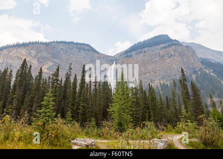 Le Cascate di Takakkaw è una cascata che si trova nel Parco Nazionale di Yoho vicino al campo della Columbia britannica in Canada Foto Stock