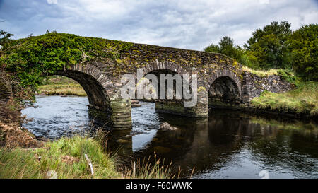 Il vecchio ponte sul fiume Drunminboy su una strada senza nome vicino a Lauragh Contea di Kerry in Irlanda. Foto Stock