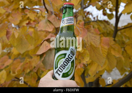 A titolo illustrativo bottiglia birra Tuborg delle foglie di autunno sfondi Foto Stock